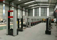 檳榔給袋式包裝機(jī)